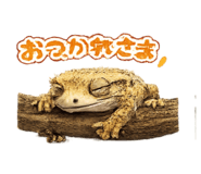 858765323