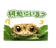 858765324