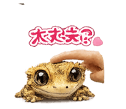 858765326