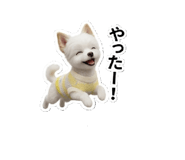 858766566