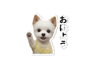 858766567