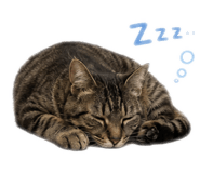858766918