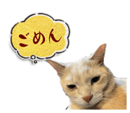 858767313
