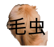 858767366