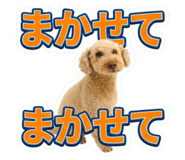 858767405