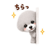 858767667