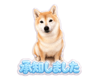 858769274