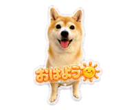 858769280