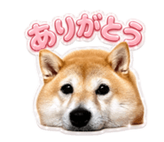 858769281