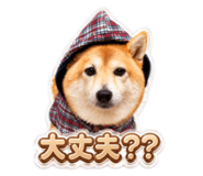 858769287