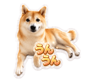 858769288