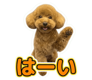 858769517
