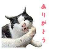 858769525