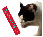 858769528
