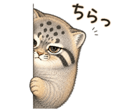 858770348