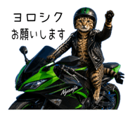 858770650
