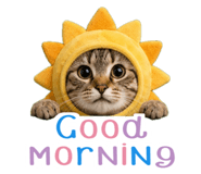 858770654