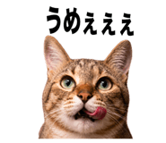 858770678