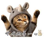 858770681