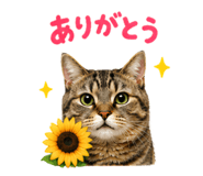 858770837