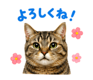 858770838