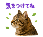 858770864