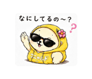 858771057