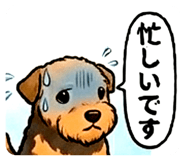 858771647