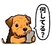858771648