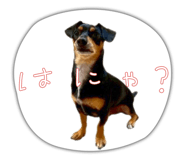 858772143
