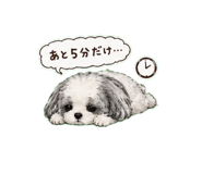 858773127