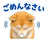 858773362