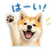 858773378