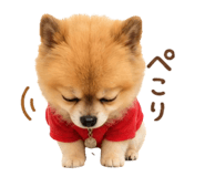 858774811