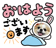 858776379