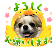 858776385