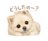858777334