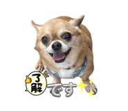 858779362