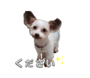 858779368