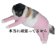 858780289