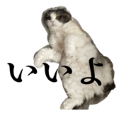 858780291