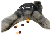 858780294