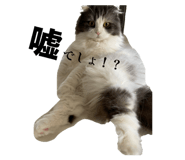 858780295