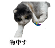858780301