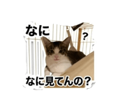 858781450
