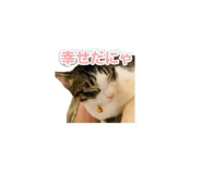 858781452