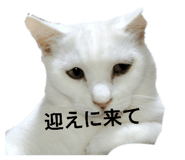 858783202