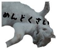 858783203
