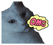 858783204