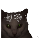 858783205